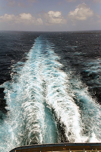 cruise14 (185)